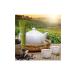 Tony Moly Chok Chok Green Tea Eye Cream 30ml - Hydrating & Soothing - Buy Online on GoSupps.com