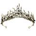 TOCESS Black Crown Tiara for Women Goth Vintage Queen Princess Baroque Crown for Girls  Ideal Gift for Black Swan Witch Costume Show Party Prom Birthday  Crystal Rhinestone Crown (Gorgeous Black)