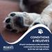 Musher's Secret Dog Paw Wax 454g (16 oz) - Moisturizing Balm for Dry Cracked Paws - All-Natural with Vitamin E - Buy Online on GoSupps.com