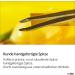 Rubis Safety Tweezers Round - Skin-Friendly Eyebrow Plucking Tweezers with Rounded Tip for Precision Grooming - International Shipping Available - Buy Online on GoSupps.com