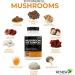 RENEW ACTIVES Mushroom Complex 2 Capsules per Serving 10 Mushroom Blend with Antioxidants for Immune Health & Wellness Supports Overall Vitality & Long-Term Wellness Made in Canada - 120 Capsules - Buy Online on GoSupps.com