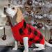 Shop Katzinst Christmas Dog Sweater - Fleece Medium-Sized Sweater for Maltesers & Jack Russells - Red & Black Style - Buy Online on GoSupps.com