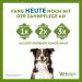 Whimzees by Wellness Stix - Natural Grain-Free Dental Care Snacks for Large Dogs | Monthly Pack of 30 Couch Sticks | Size L - 1 kg (1 Pack) - International Shipping Available - Buy Online on GoSupps.com