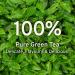 Handpicked 100% Pure Green Tea Leaves from Himalayas, India - 255g/9oz | Non-GMO +100 Cups | Resealable Ziplock Pouch | Green Tea Loose Leaf - Buy Online on GoSupps.com