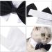 Buy SUNTRADE Adjustable Formal Pet Bow Tie for Dogs & Cats - Wedding Costume (L Black) - International Shipping Available - Buy Online on GoSupps.com