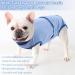Convinite Recovery Suit for Dogs | Breathable Wound Protection After Castration | Male & Female Dog Body Suit | Adjustable Blue - Buy Online on GoSupps.com