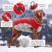 Kuoser Waterproof Dog Coat | Warm Winter Jacket for Small & Medium Dogs | Cozy Fleece-Lined Reflective Vest | Pet Clothing Size S Red - Buy Online on GoSupps.com