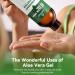 Aero Zen 99% Natural Aloe Vera Gel | Daily Hydration & After-Sun Relief | Lightweight Alcohol-Free Formula Deeply and Quickly Soothes Skin Suitable for Face/Body/Hair - 8.45 fl oz 8.45 Fl Oz (Pack of 1) - Buy Online on GoSupps.com