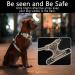Buy Heele Dog Crockery & Large Dog Harness | Front & Back Clips Neck Release - International Shipping - Buy Online on GoSupps.com