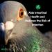 Aviform ULTIMATE Max NEW FORMULA Complete Supplement for Racing Pigeons 2500ml - Buy Online on GoSupps.com