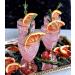 Dried Grapefruit Slices - Premium Dehydrated Cocktail Garnishes - 25 Servings (50g Approx) - Buy Online on GoSupps.com