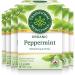 Traditional Medicinals Peppermint 16 Tea Bags (Pack Of 6) 384 gram Tea Peppermint 16 Count (Pack of 6)