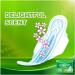 Whisper Ultra Clean XL Wings Sanitary Pad - Pack of 15 - Buy Online on GoSupps.com