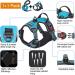 tobeDRI No Pull Dog Harness & Leash Set - Adjustable Reflective Oxford, Easy Control for Medium & Large Dogs - Blue - Buy Online on GoSupps.com