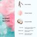 Skylar Boardwalk Delight Eau de Parfum - Hypoallergenic & Clean Perfume for Women & Men Vegan & Safe for Sensitive Skin - Notes of Cotton Candy Vanilla & Coconut Milk - 10mL /0.33 Fl oz - Buy Online on GoSupps.com