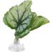 Betta Fish Hammock | Green Leaf Bed for Betta Fish | Perfect Aquarium Accessory - Buy Online on GoSupps.com