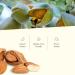 100% Pure Almond Oil for Skin & Hair | Moisturizing Massage Oil | Anti-Strip & Atopic Skin Relief | 500ml Rich in Vitamin E - Buy Online on GoSupps.com