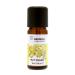 SENSOLI May Chang Essential Oil 10ml - Pure and Natural Essential Oil for Aromatherapy and Diffusers