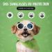 Shop Panda Style UV Glasses for Small Dogs | Eye Protection & Comfort | Windproof & Anti-Fitting Cat Glasses - Buy Online on GoSupps.com