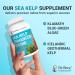 Dr. Berg Sea Kelp Enhanced Iodine - 200 mcg of Premium Iodine - Seaweed Blend Includes Klamath Blue-Green Algae & Sea Kelp - 90 Capsules Without Red Algae - Buy Online on GoSupps.com