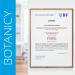 Botanicy Brain Active Complex - 60 Capsules - Buy Online on GoSupps.com
