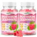 Potassium Gummies for Adults with 1200mg Potassium Chloride - Supports Muscle Health & Leg Cramps Raspberry Flavor 120 Count 2pack