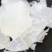 Stephenson Clear SLS Free Melt and Pour Soap Base - 1kg (Pack of 1) - Buy Online on GoSupps.com