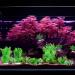 Buy Ctpeng 57-Piece Artificial Fish Tank Plants Decor Set | 2-30cm | Perfect for Aquarium Decoration - Buy Online on GoSupps.com