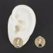 TEHAUX Premium Silicone Ear Model - Lifelike Artificial Ear for Studs & Teaching (Size M) - Bubble-Free Soft & Realistic - Buy Online on GoSupps.com