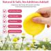 40 Pads Kojic Acid and Turmeric Cleansing Pads Turmeric Cleansing Pads Balance Skin Oil And Water Gentle & Non-Irritating for Body's Skin - Buy Online on GoSupps.com