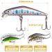 Fishing Lures Set - Minnow Popper Crank Baits Pencil Bass Trout with Hooks - Topwater Hard Swimbaits for Saltwater Freshwater - 10pc 2.68oz - Buy Online on GoSupps.com