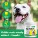 Dog Teeth Cleaning Dental Powder - Freshens Breath & Reduces Plaque for All Dog Sizes | 80g Probiotics Formula - Buy Online on GoSupps.com