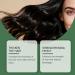 ZLHHRZJX Rosemary Shampoo for Hair Growth 100ml Rosemary Shampoo to Strengthen Hair Moisturizing and Volumizing Shampoo for Fine Hair Rose/Marine Shampoo/Poo for Fine Hair - Buy Online on GoSupps.com
