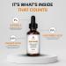 CE Ferulic Serum - Vitamin C E Ferulic Acid Anti-Aging Serum for Dark Spots | Skin Care 1 Oz Unscented - Buy Online on GoSupps.com