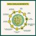 Prot ine de Pois Bio - Bioptimal - 80% Prot ines - 12% BCAA - Haute Digestibilit - Energie Sport Musculation - Poudre de Pois Jaune - 100% Pur - Conditionn en France - Certifi Ecocert - 500 g Go t neutre 500 g (Lot de 1) - Buy Online on GoSupps.com