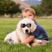 Shop Stylish Black Dog Sunglasses - Waterproof Windproof Anti-UV Protective Glasses for Small & Medium Dogs & Cats | Adjustable Strap for Outdoor & Motorcycle Activities - Buy Online on GoSupps.com