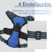 Rabbitgoo No-Pull Dog Harness for Medium Dogs - Adjustable & Breathable with Reflex Stripes - Safe Control Guidance - 1 Pack Blue - Buy Online on GoSupps.com