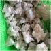 Natural Clear Quartz Crystal Cluster Small Stones Rare Specimen Full of Texture - Buy Online on GoSupps.com