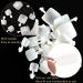 1200 Full Cover White Acrylic False Press-On Toenails - Natural Color, 12 Sizes - for Women & Girls - Buy Online on GoSupps.com