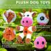 Aeitpet Dog Toys for Large & Small Dogs - Squeaky Plush & Crinkle Filled Cuddly Puppy Toy - Buy Online on GoSupps.com