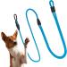 Hands-Free Dog Leash - 2m Adjustable Belly Belt for Running & Jogging | 3-in-1 Training & Hunting Leash for All Dog Sizes - Touline Petrol - Buy Online on GoSupps.com