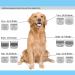 High-Quality Ceramic Blades for Dog Hair Cutters - Compatible with Moser Heiniger Andis Easter A5 & Wahl 5f (2 Sets 6.3mm Cut Length) - Buy Online on GoSupps.com
