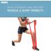 TKO Resistance Bands Set - 3 Pack | Flat Elastic Exercise Gear for Men & Women | Light Medium Heavy Resistance Levels for Fitness & Workout - Buy Online on GoSupps.com