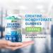 Creatine Monohydrate Gummies 5000mg - Muscle Strength & Energy Boost | Pre-Workout Supplement for Men & Women (90 Count Blueberry - Buy Online on GoSupps.com