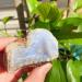 Natural Crystal Rough 190g Natural Raw Blue Lace Agate Rough Stones Crystal Minerals and Stones Rough Gemstones Original Specimen for Home Decor Gifts (Size : 140-190g) - Buy Online on GoSupps.com