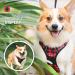 PoyPet No Pull Dog Harness Release on Neck Reflective Adjustable No Choke Pet Vest with Front & Back 2 Leash Attachments Soft Control Training Handle for Medium Dogs(Checkered Red M) M (Pack of 1) Checkered Red - Buy Online on GoSupps.com