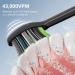 Sonic Electric Toothbrush for Adults - 200 Days Charge 5 Modes 43000 VPM Rechargeable Timer - Best Oral Care Tool - Buy Online on GoSupps.com