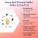 Mama Bird Prenatal Vitamin Iron-Free with Methylfolate | Vegan, Organic Herbal Blend | Healthy Pregnancy Secrets Guide Included | 30 Ct - Buy Online on GoSupps.com