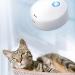 Wood Collection Cat Toilet Deodorant - Mini Air Purifier & Odor Neutralizer for Pets Wardrobes Shoe Cabinets & Kitchens - Buy Online on GoSupps.com