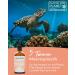Premium Norwegian Salmon Oil for Cats | Omega 3 & 6 | High-Dose 100ml Natural Supplement - Buy Online on GoSupps.com